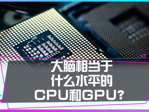 人的大脑到底相当于什么水平的CPU和GPU？