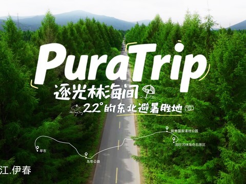 逐光林海间22° 的东北避暑胜地