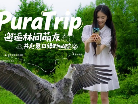 邂逅林间萌友，共赴夏日绿野仙踪！