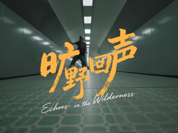 Լvivo X300 ProѰԼġҰ